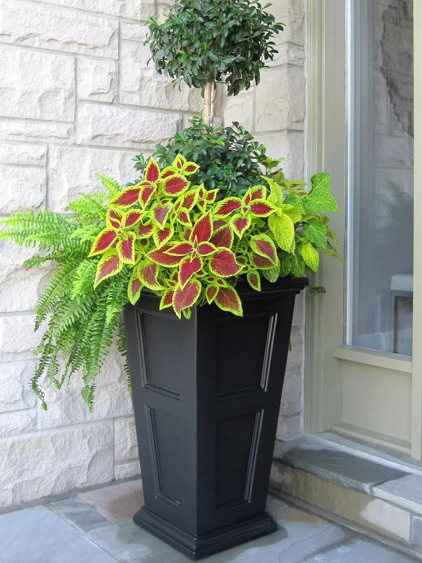 Fairfield Self-Watering Tall Patio Planters, 28” - Image 5