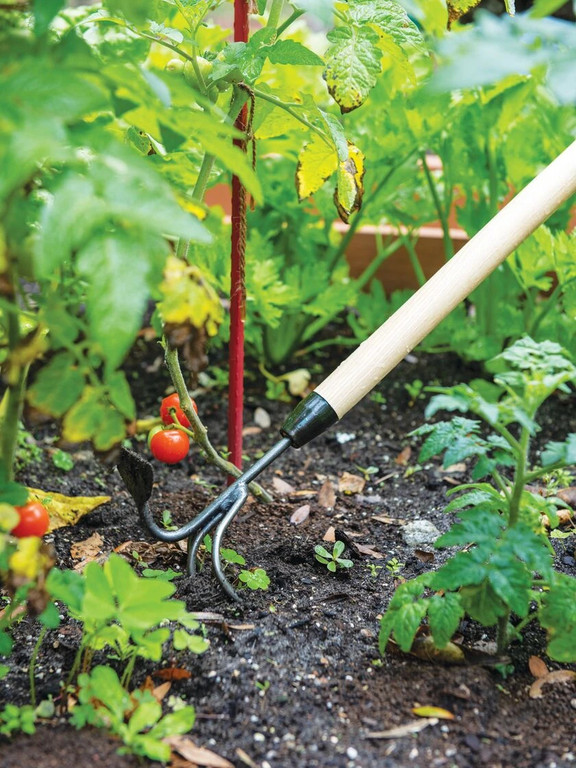 Gardener's Lifetime Long-Handled Double Tool - Image 3