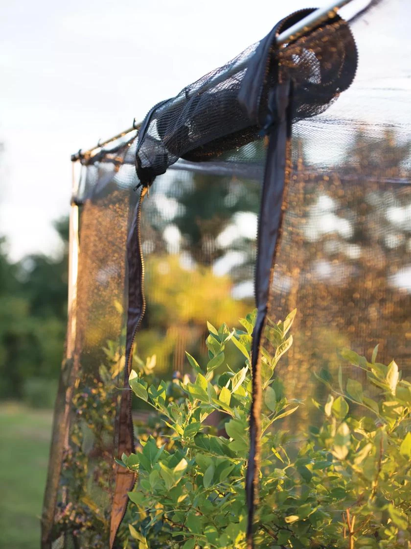 Storm Proof Crop Cage, Large - Image 6
