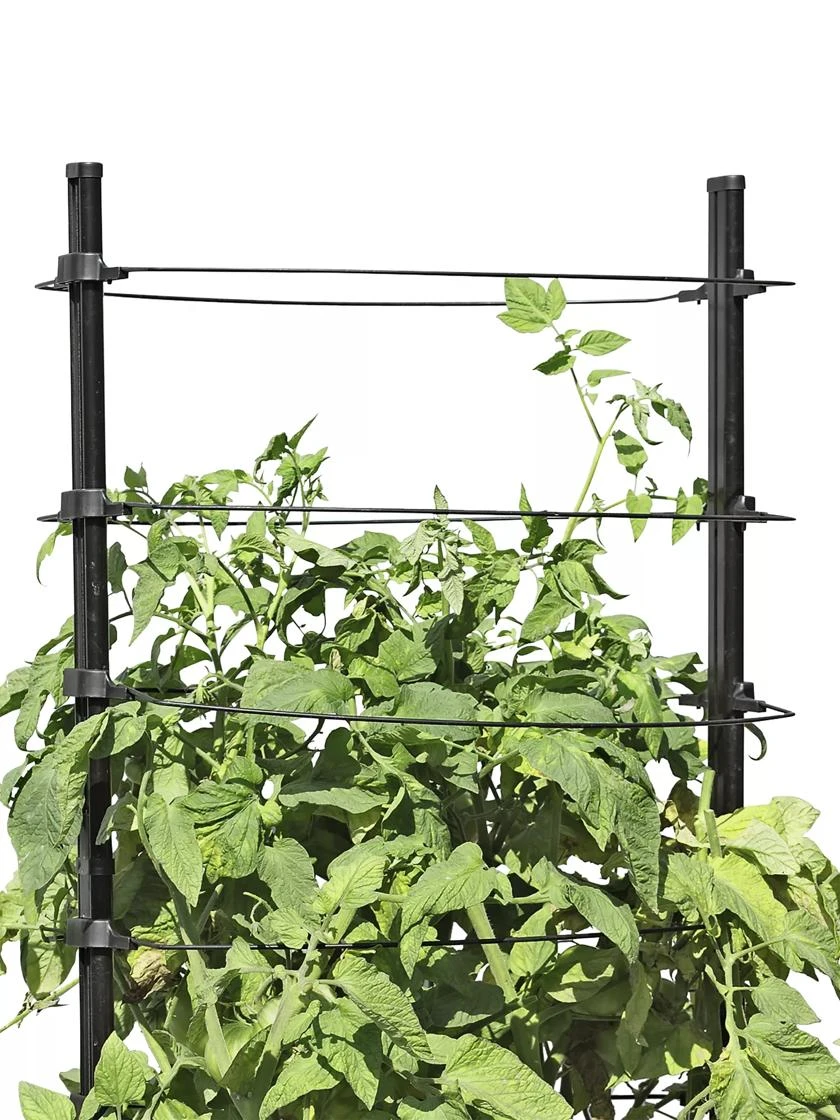 Gardener's Revolution® Classic Tomato Extension