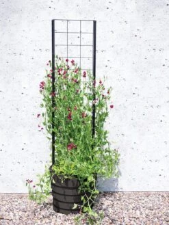 Gardener’s Victory Self-Watering Planter With Vine Trellis
