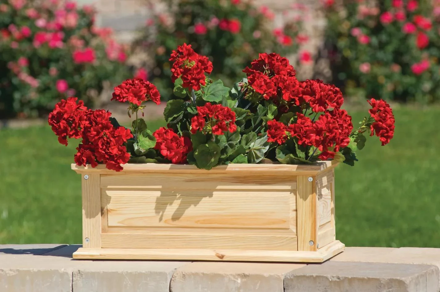 Savannah Window Boxes - Image 4