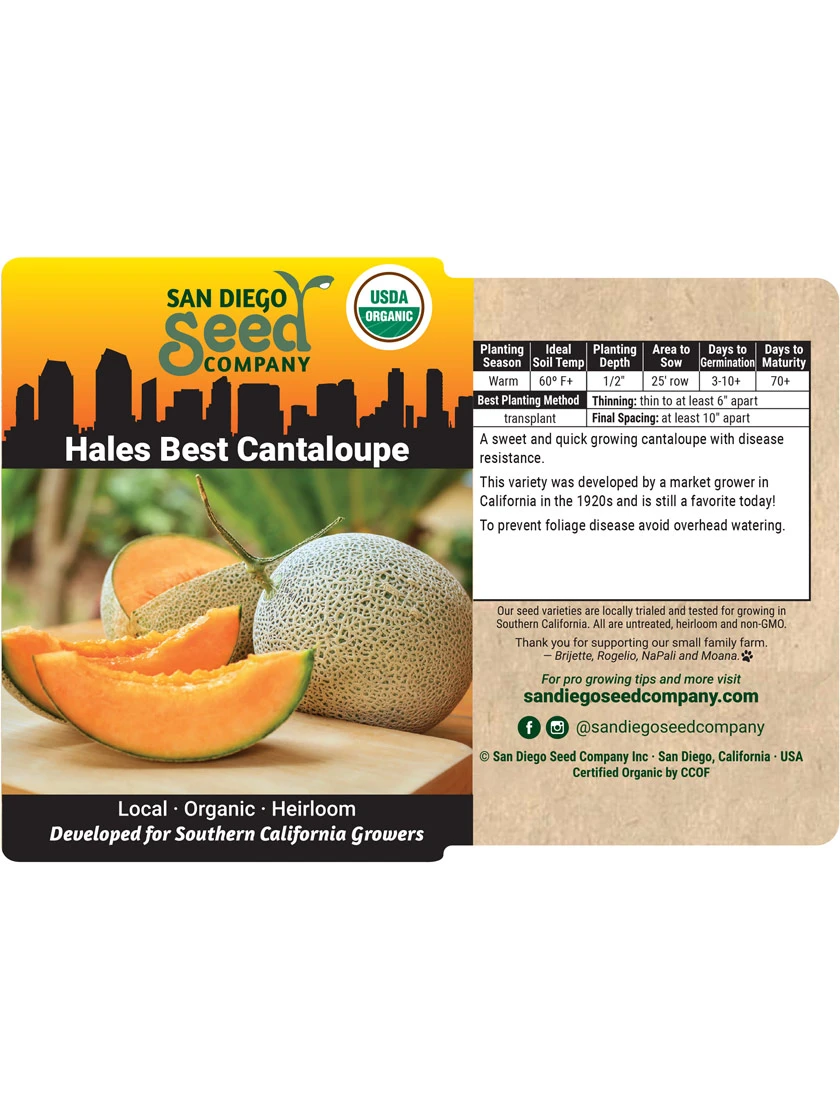 Hales Best Cantaloupe Organic Seeds - Image 3