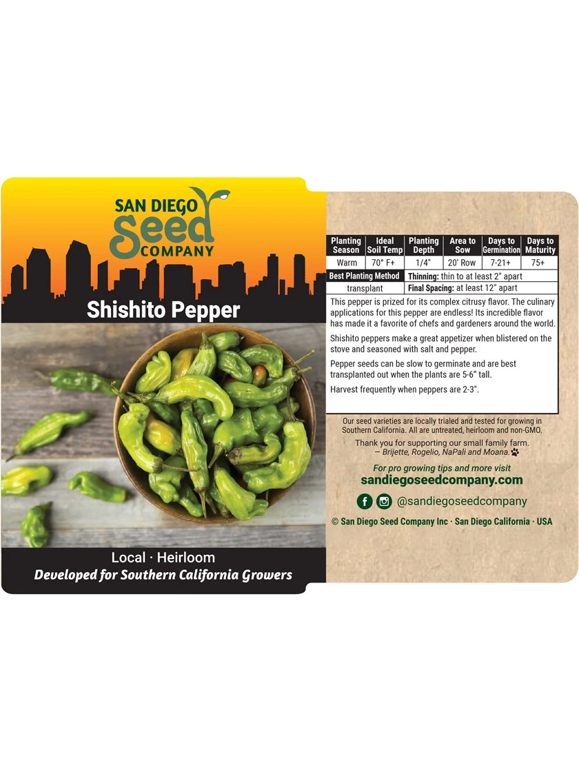 Shishito Pepper Organic Seeds - Image 3