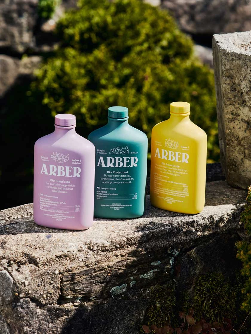 Organic Bio Insecticide Indoor/Outdoor - Image 6