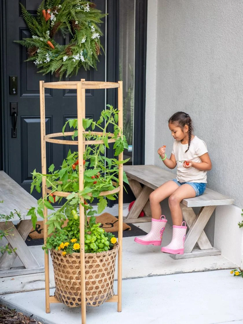 Elevated Bamboo Tomato Planter And Trellis - Image 2