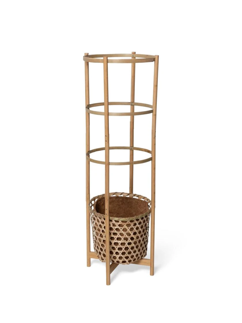Elevated Bamboo Tomato Planter And Trellis - Image 4