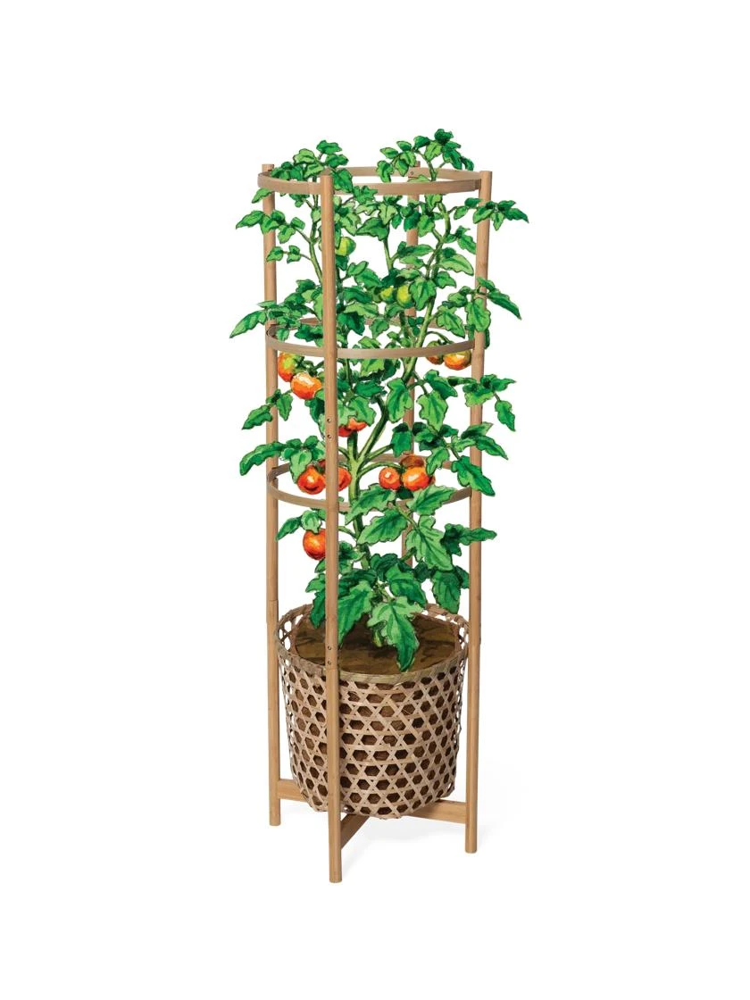 Elevated Bamboo Tomato Planter And Trellis - Image 5